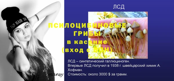 MDMA Алексеевка