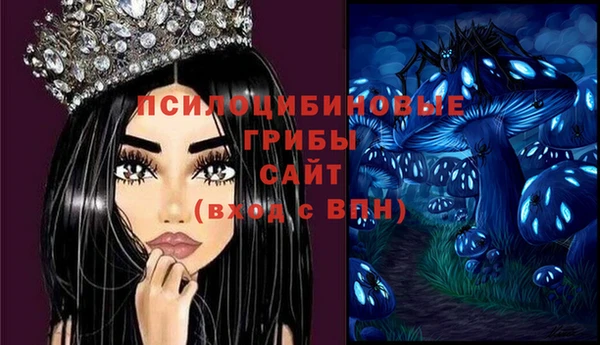 MDMA Алексеевка