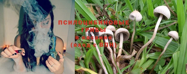 каннабис Алексин