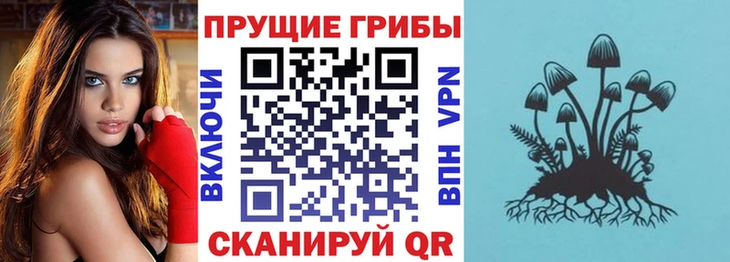 Галлюциногенные грибы мицелий  дарнет шоп  Старая Купавна 