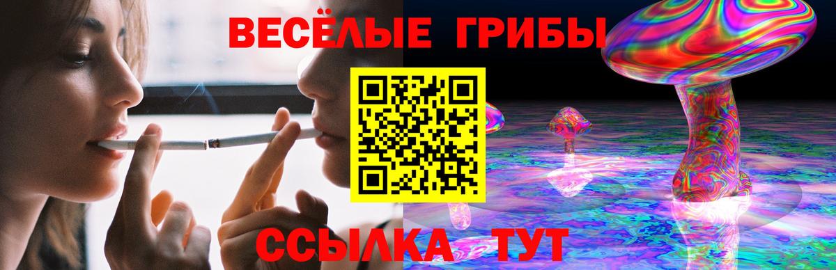 Псилоцибиновые грибы мухоморы  Вход с VPN  Старая Купавна  продажа наркотиков  Галлюциногенные грибы Psilocybe 